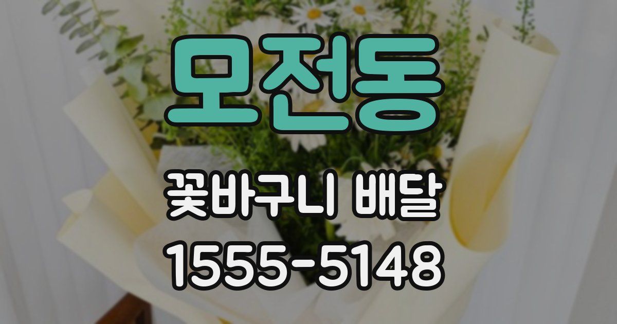 모전동 꽃바구니 배달