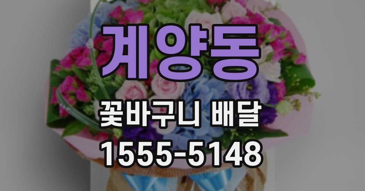 계양동 꽃바구니 배달