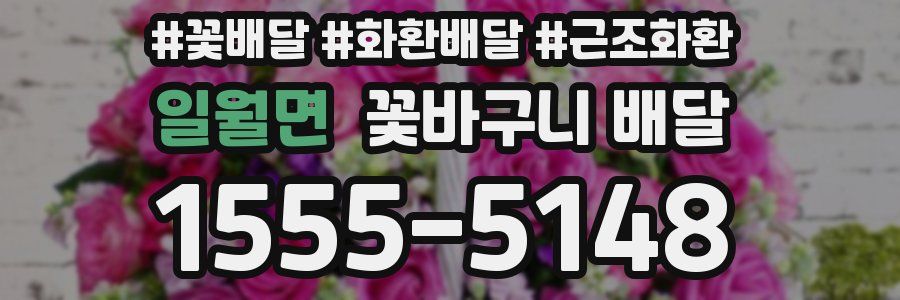 일월면 꽃바구니 배달