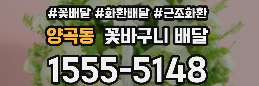 양곡동 꽃바구니 배달