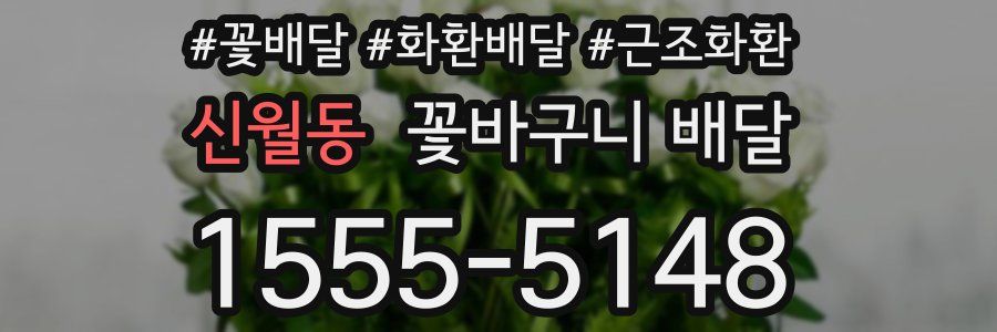 신월동 꽃바구니 배달