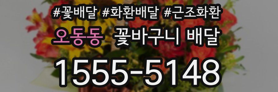 오동동 꽃바구니 배달