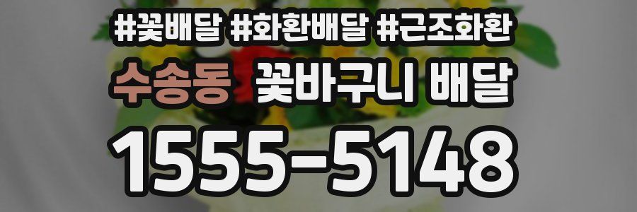 수송동 꽃바구니 배달