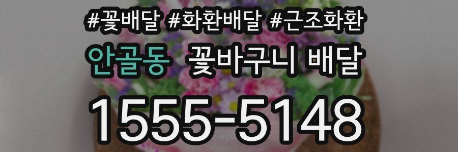 안골동 꽃바구니 배달