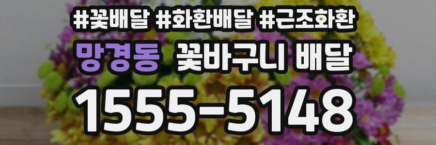망경동 꽃바구니 배달