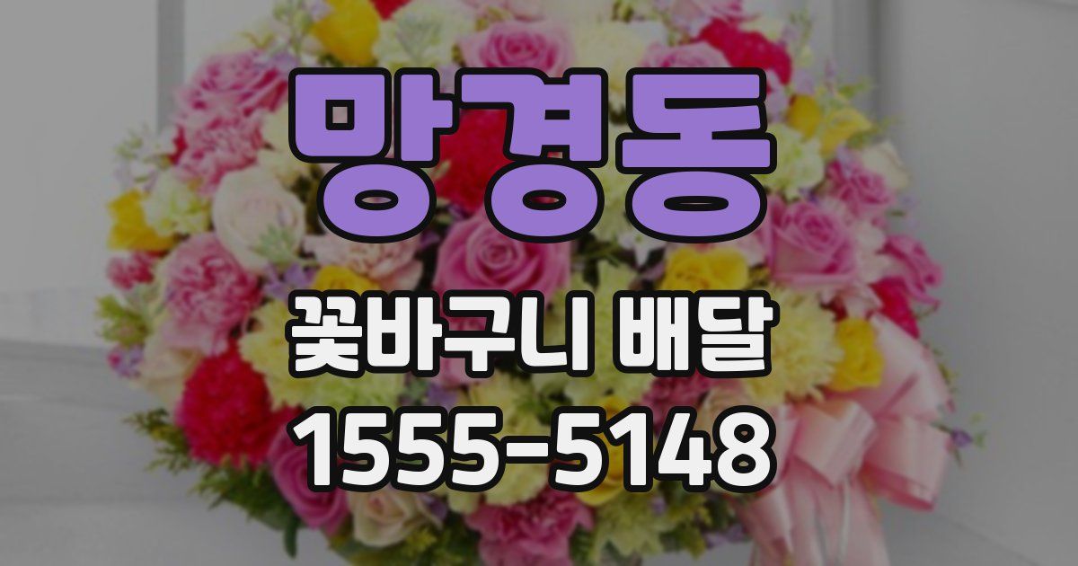 망경동 꽃바구니 배달