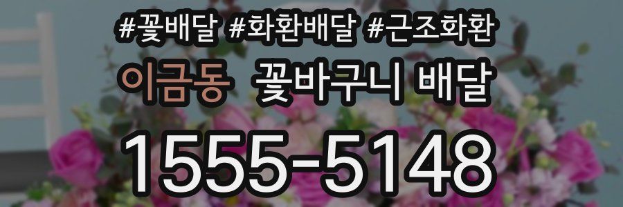 이금동 꽃바구니 배달