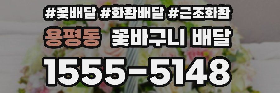 용평동 꽃바구니 배달