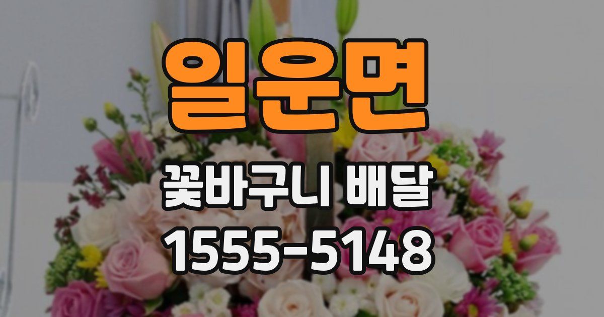 일운면 꽃바구니 배달
