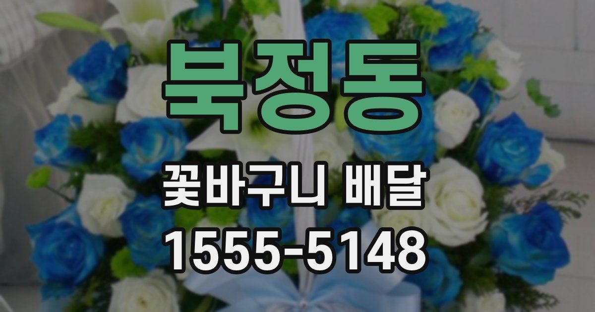 북정동 꽃바구니 배달