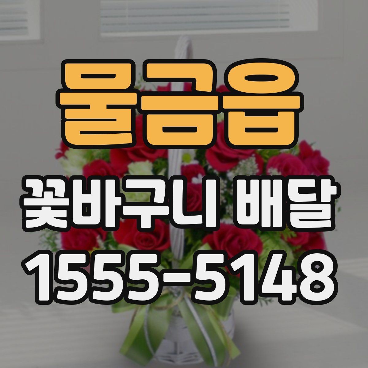 물금읍 꽃바구니 배달 가격대와 구성 비교하기