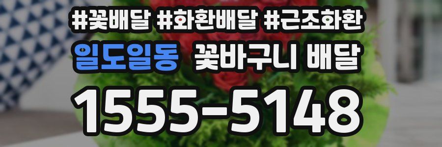 일도일동 꽃바구니 배달