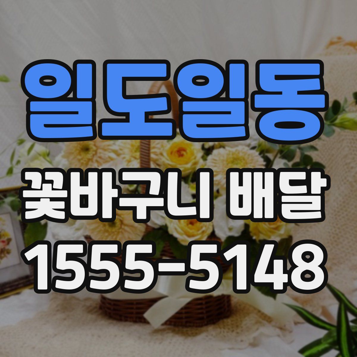일도일동 꽃바구니 배달
