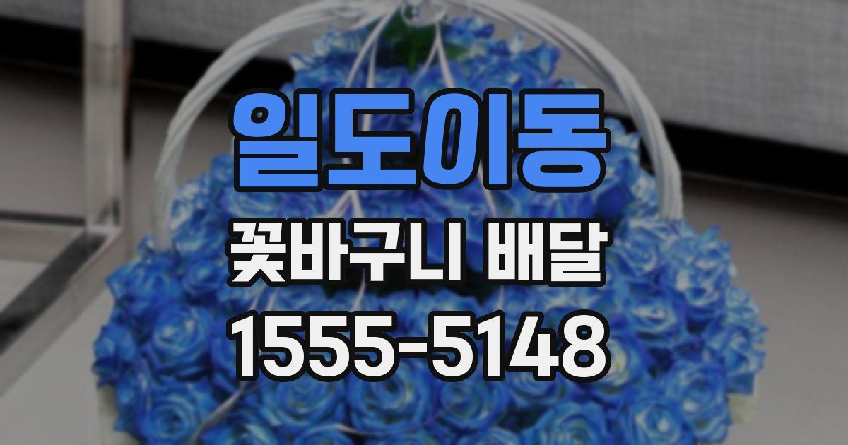 일도이동 꽃바구니 배달