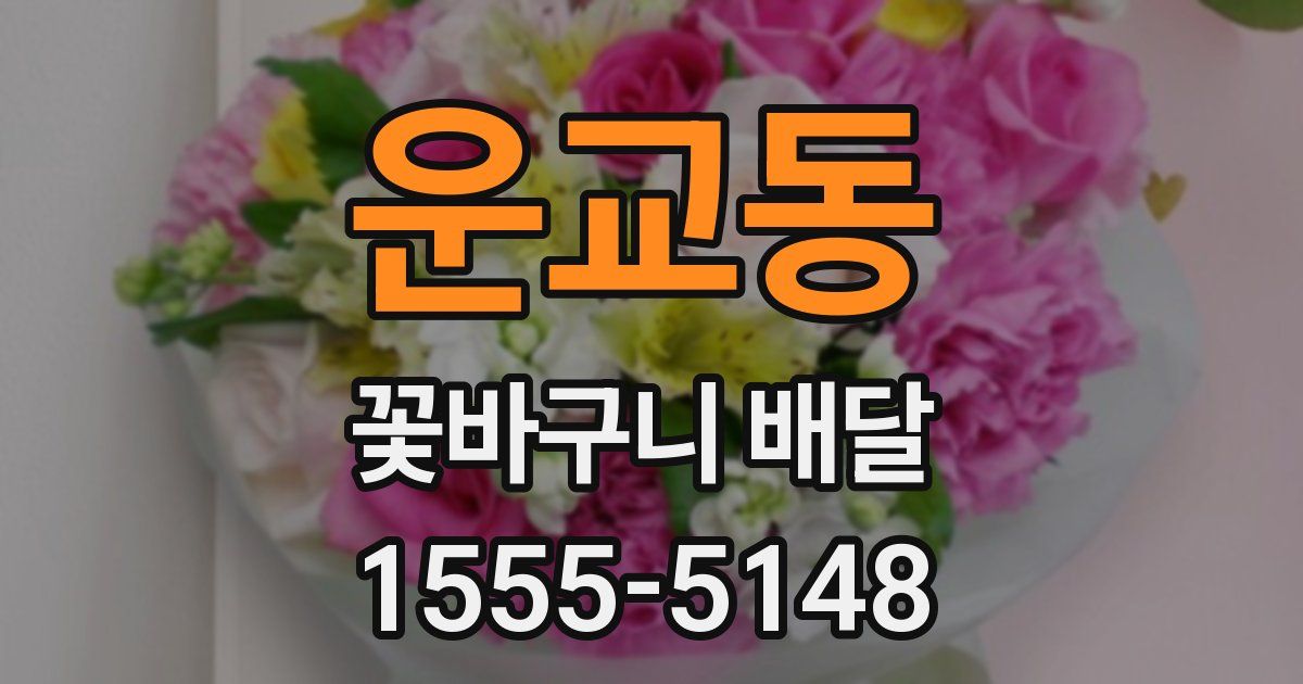 운교동 꽃바구니 배달