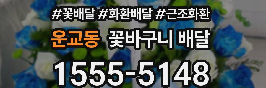 운교동 꽃바구니 배달