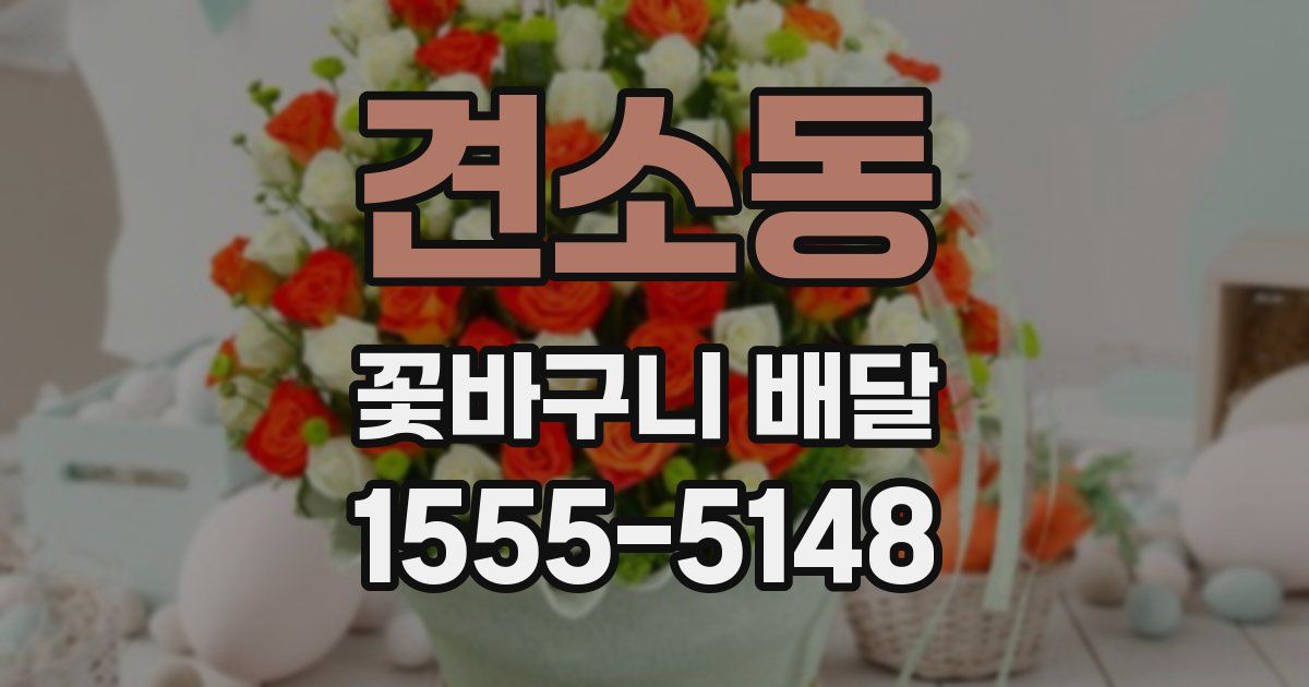 견소동 꽃바구니 배달