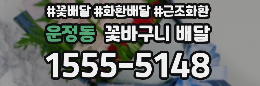 운정동 꽃바구니 배달