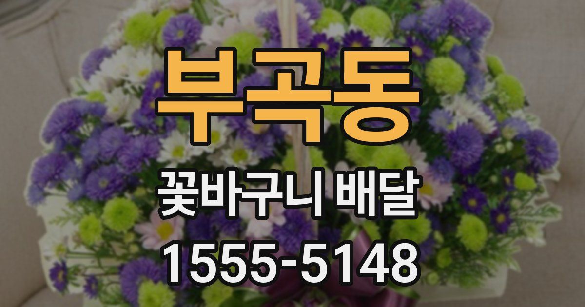 부곡동 꽃바구니 배달