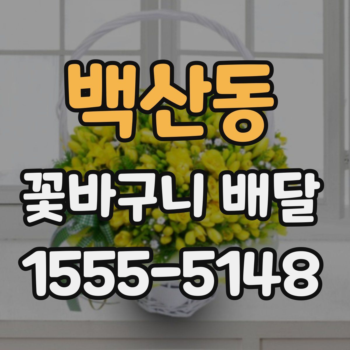 백산동 꽃바구니 배달