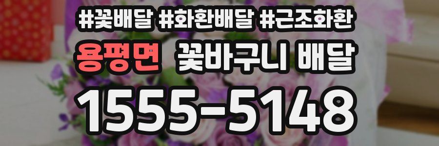 용평면 꽃바구니 배달