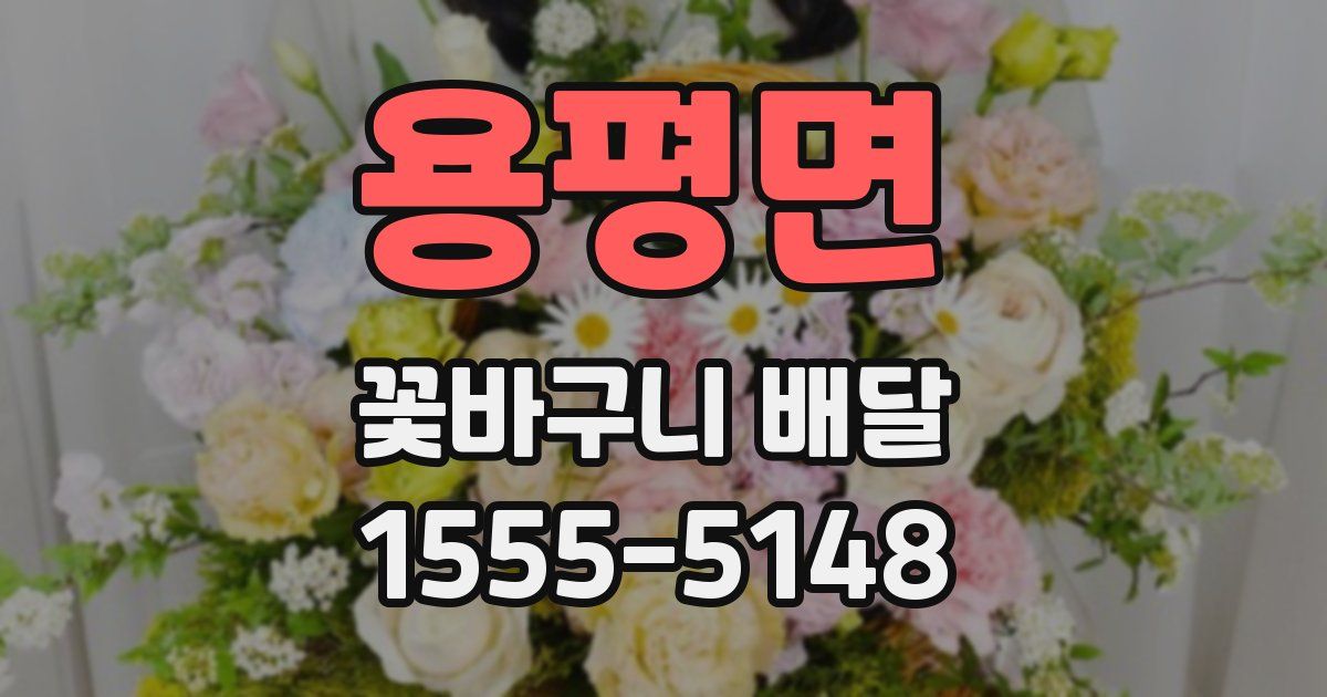 용평면 꽃바구니 배달
