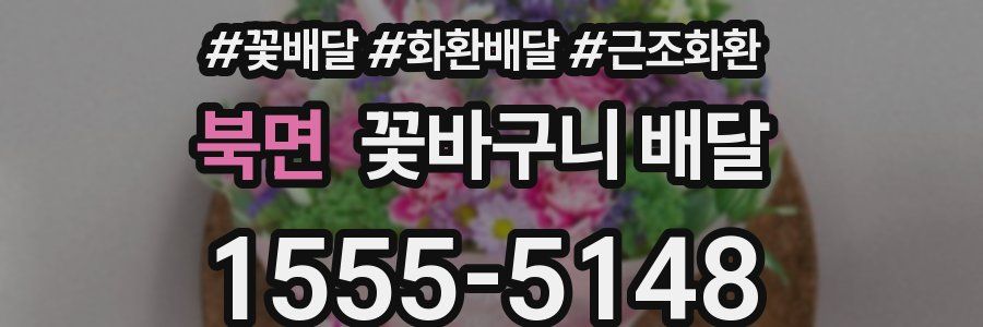 북면 꽃바구니 배달