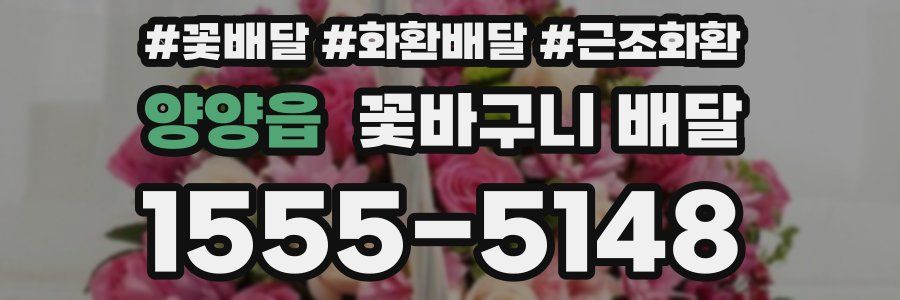 양양읍 꽃바구니 배달