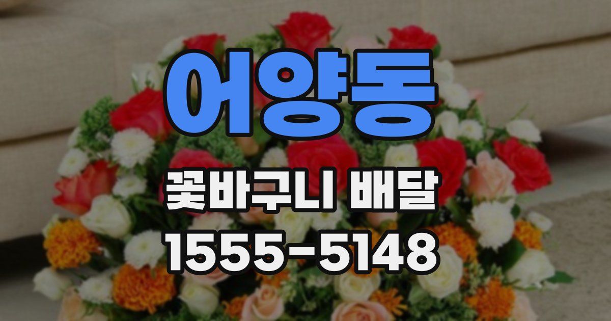 어양동 꽃바구니 배달