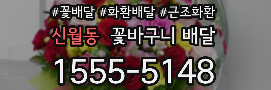 신월동 꽃바구니 배달