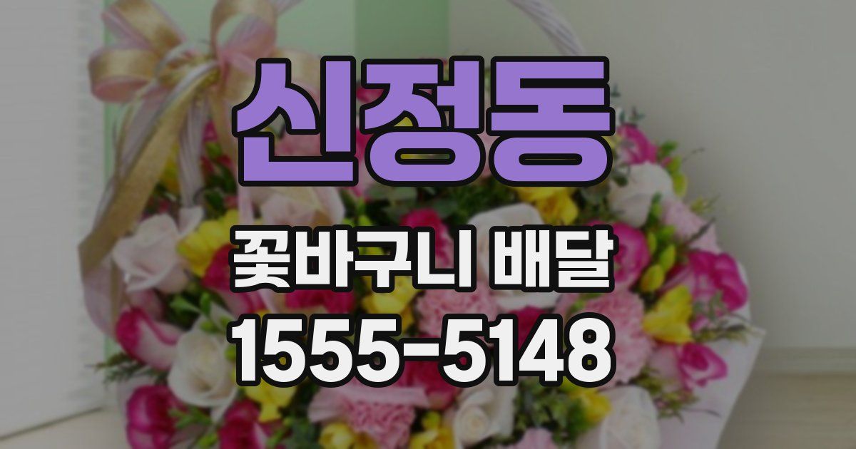신정동 꽃바구니 배달