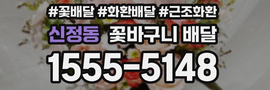 신정동 꽃바구니 배달