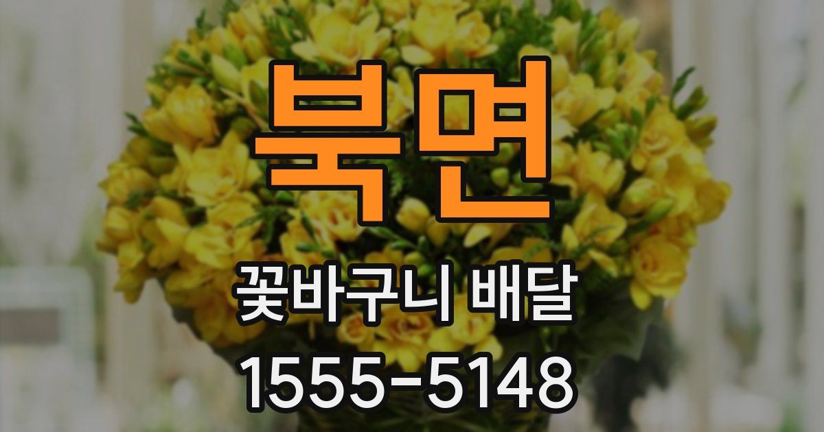 북면 꽃바구니 배달