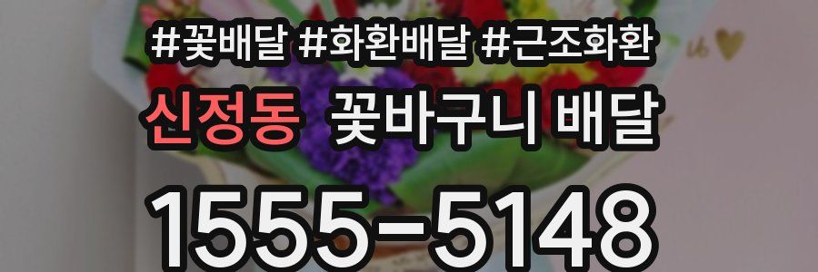 신정동 꽃바구니 배달
