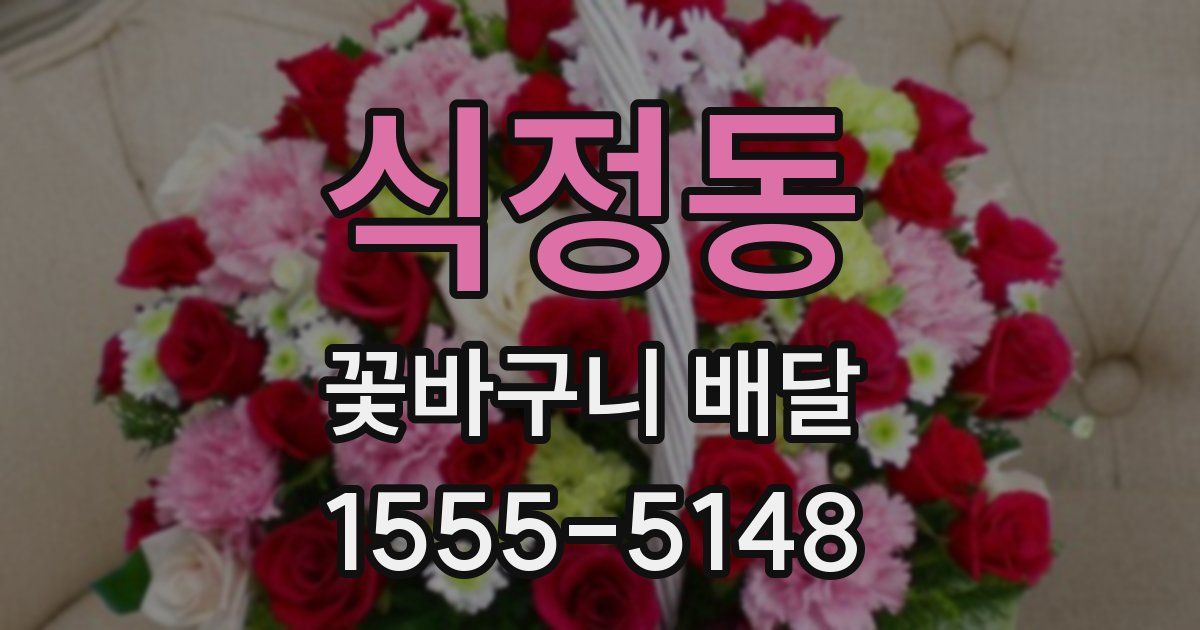 식정동 꽃바구니 배달