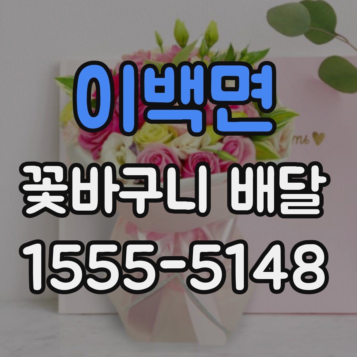 이백면 꽃바구니 배달 인기 스타일을 비교해 보기