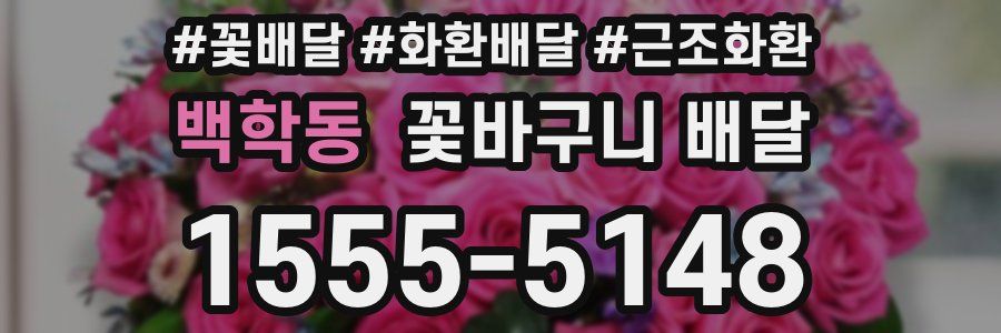 백학동 꽃바구니 배달