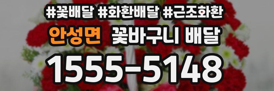 안성면 꽃바구니 배달