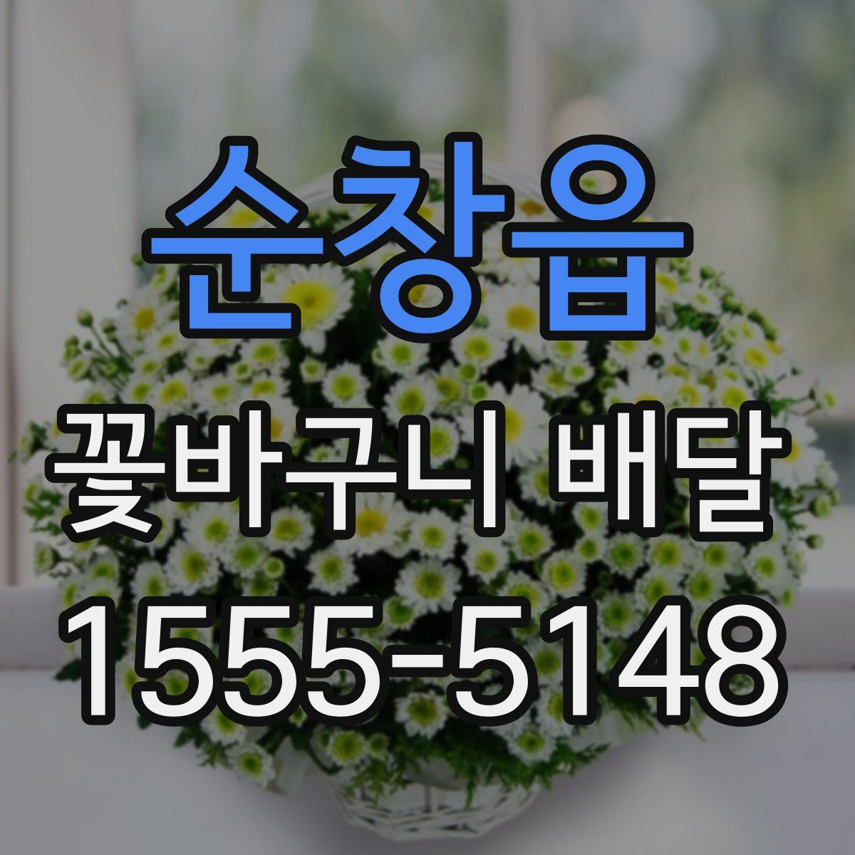순창읍 꽃바구니 배달