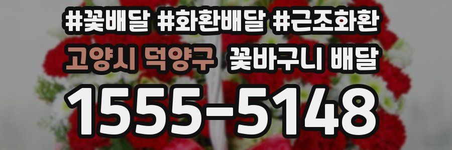 고양시 덕양구 꽃바구니 배달