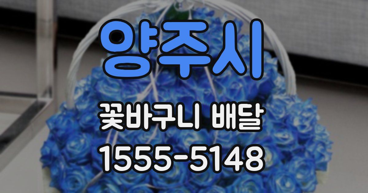 양주시 꽃바구니 배달