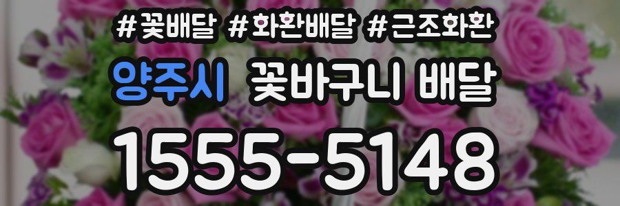 양주시 꽃바구니 배달