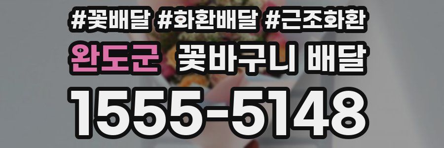 완도군 꽃바구니 배달