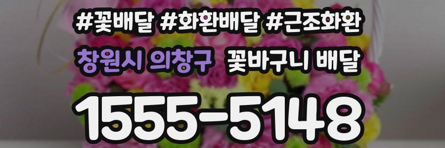 창원시 의창구 꽃바구니 배달
