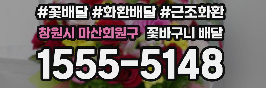 창원시 마산회원구 꽃바구니 배달