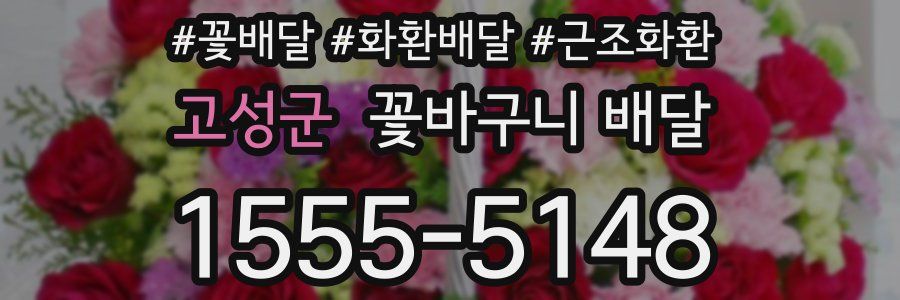 고성군 꽃바구니 배달