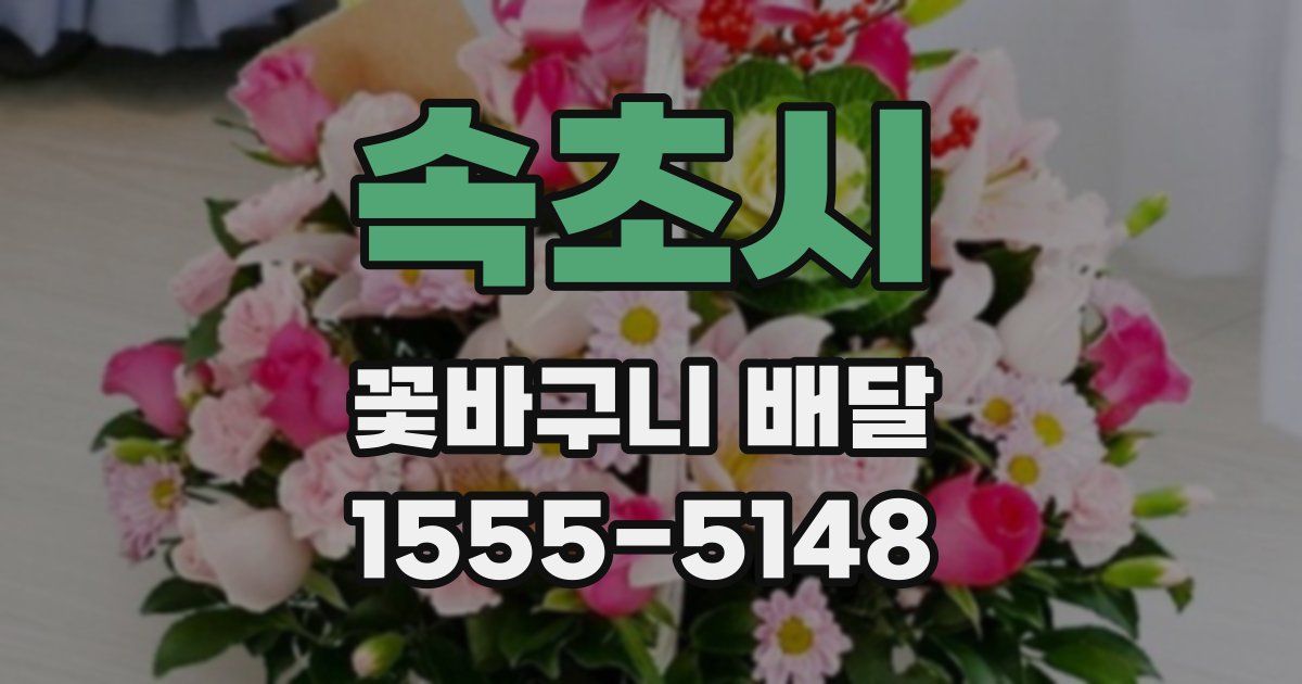 속초시 꽃바구니 배달