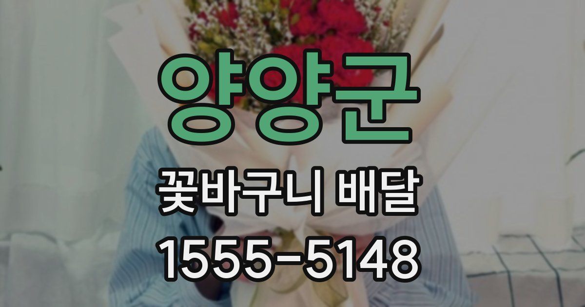양양군 꽃바구니 배달