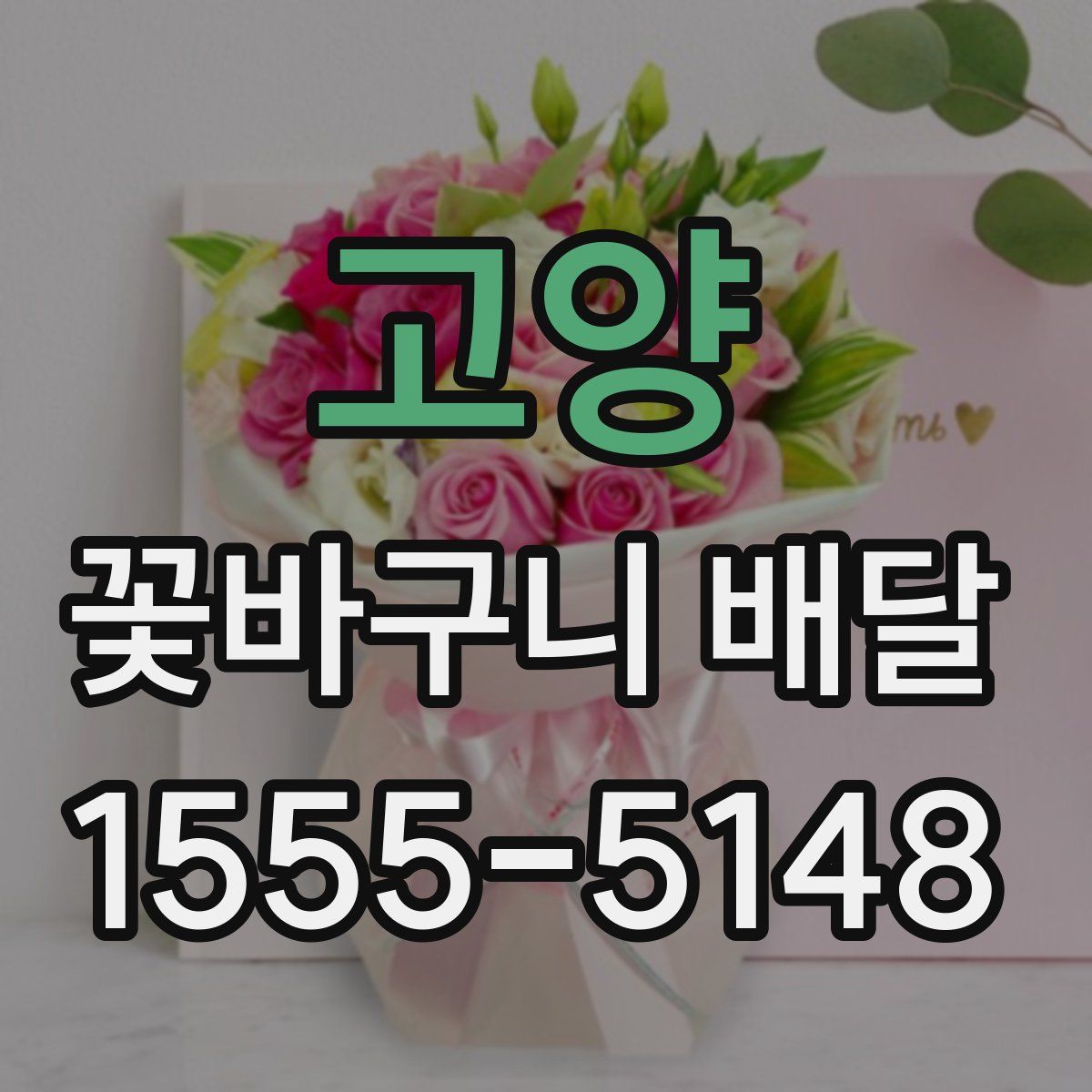 고양 꽃바구니 배달