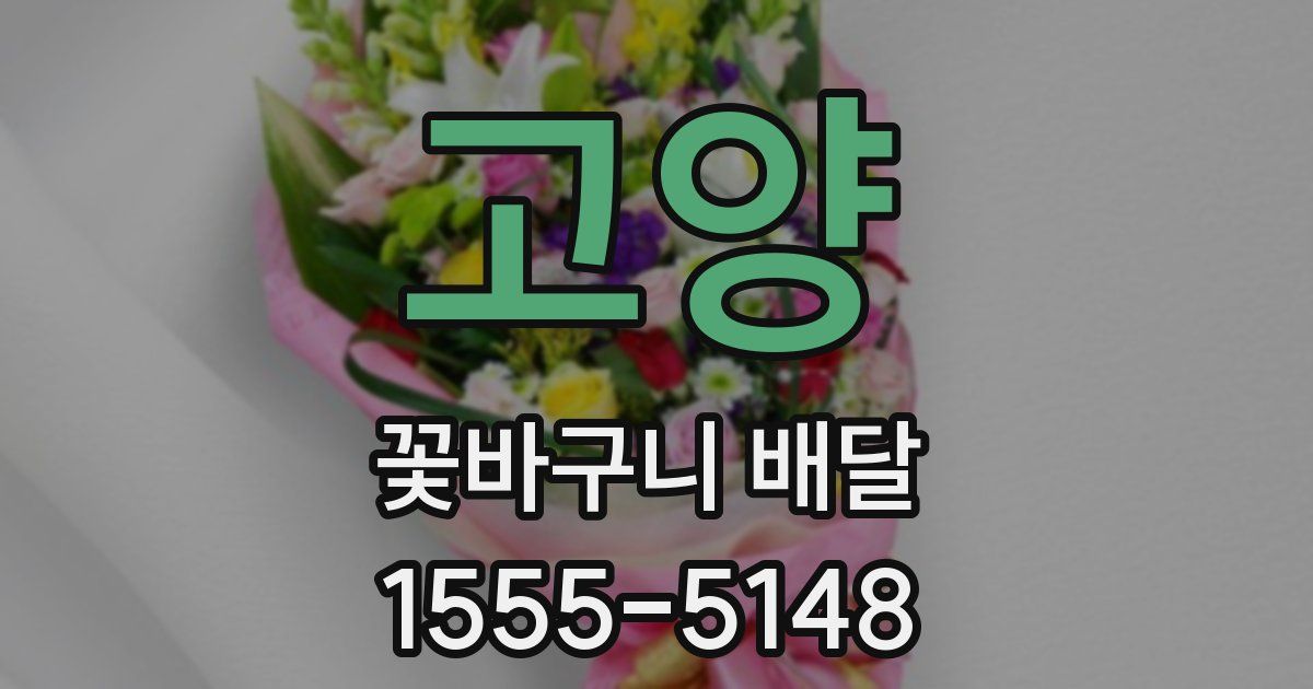 고양 꽃바구니 배달